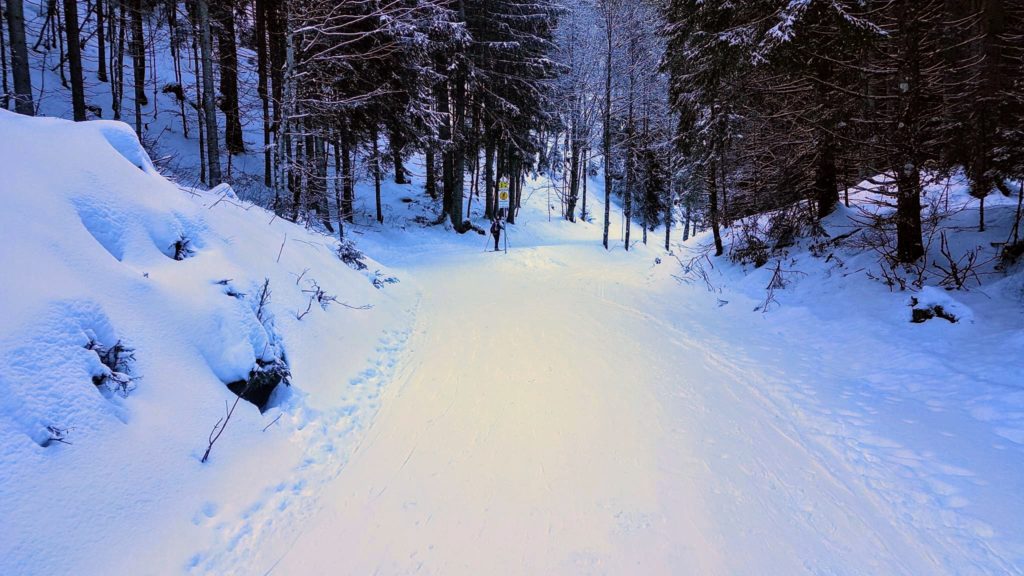 Tonihütte Skitour Februar 2022